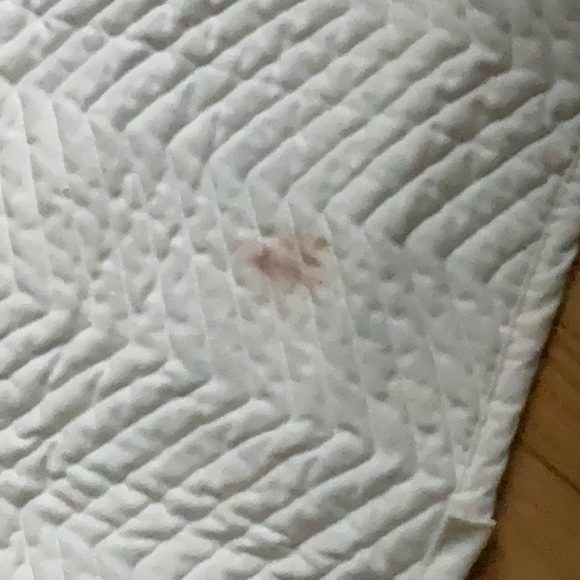 🏈 football stadium bench blanket. Quilted reversible. Rolls up compact used - Picture 5 of 12